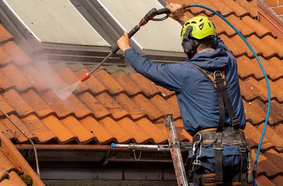 Démoussage et hydrofuge de toiture à Belleserre